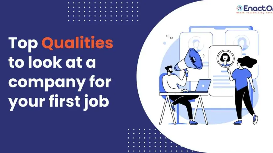 The most important good qualities to look at a company for your first job